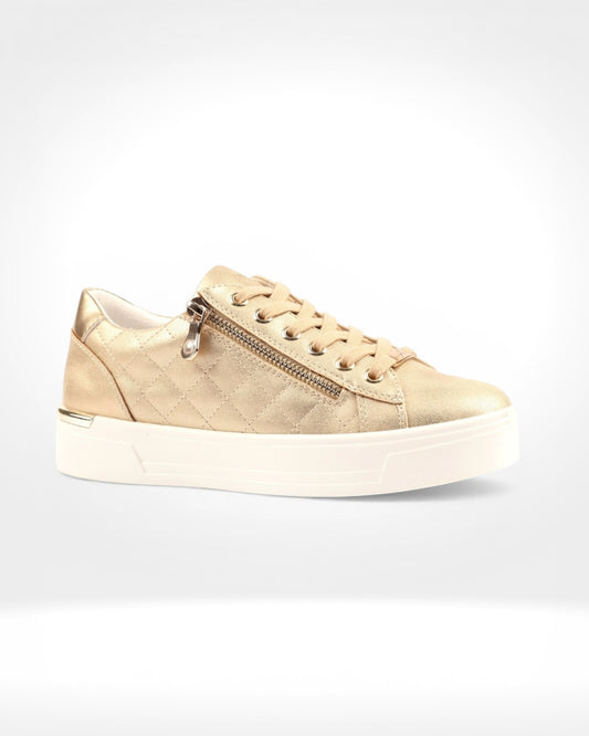 Xenon Gold Trainer