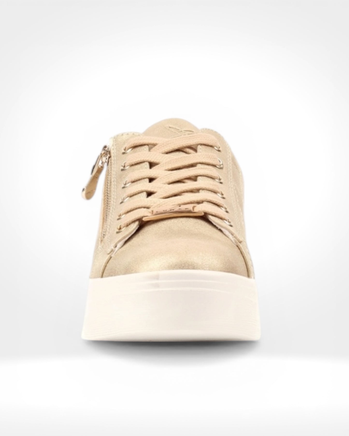 Xenon Gold Trainer