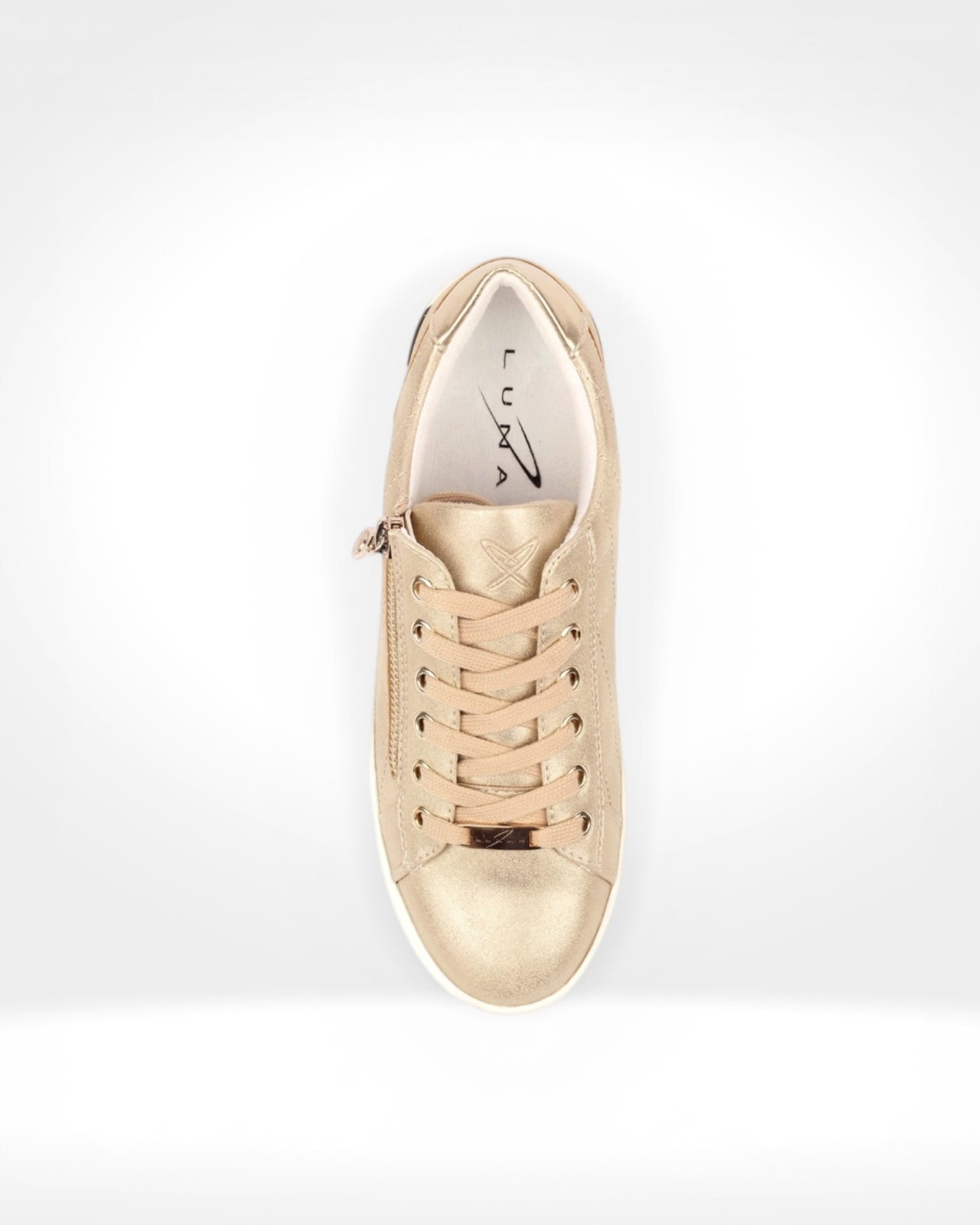 Xenon Gold Trainer